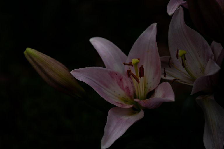 ILCE-6300, 60mm, f/2.8, 1/1600s, ISO100 | Photo by YAMAMOTO DAISUKE