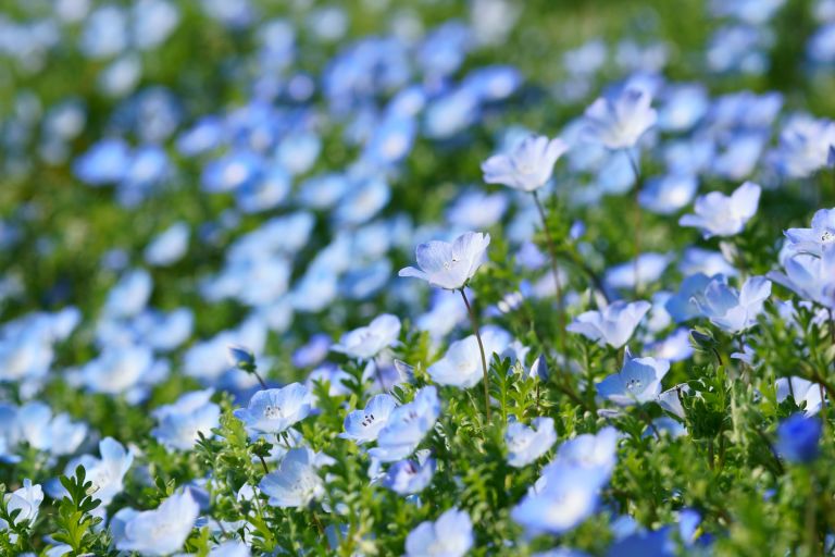 ILCE-6300, 60mm, f/4.5, 1/800s, ISO100 | Photo by YAMAMOTO DAISUKE