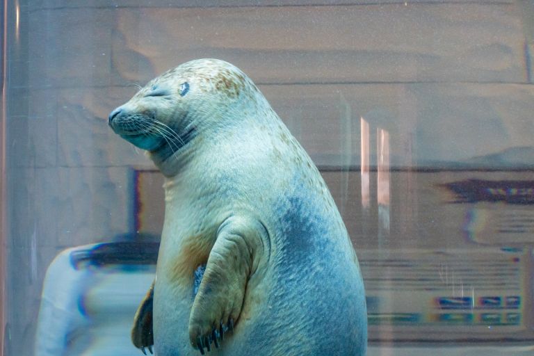 ILCE-6300, 36mm, f/5.6, 1/320s, ISO3200 | Photo by YAMAMOTO DAISUKE