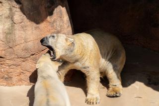 Thumbnail of ILCE-6300, 104mm, f/5.6, 1/640s, ISO100 | Photo by YAMAMOTO DAISUKE