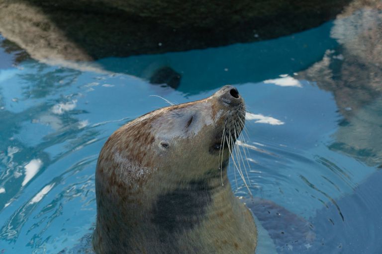 ILCE-6300, 93mm, f/4, 1/1250s, ISO100 | Photo by YAMAMOTO DAISUKE