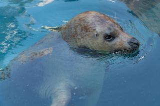 Thumbnail of ILCE-6300, 91mm, f/4, 1/160s, ISO100 | Photo by YAMAMOTO DAISUKE