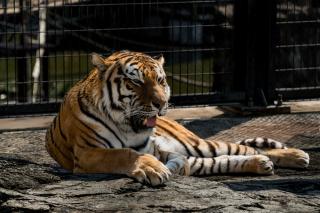 Thumbnail of ILCE-6300, 105mm, f/4, 1/500s, ISO100 | Photo by YAMAMOTO DAISUKE