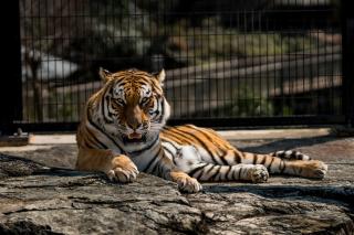 Thumbnail of ILCE-6300, 85mm, f/1.8, 1/1250s, ISO100 | Photo by YAMAMOTO DAISUKE