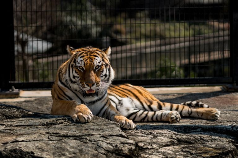 ILCE-6300, 85mm, f/1.8, 1/1250s, ISO100 | Photo by YAMAMOTO DAISUKE