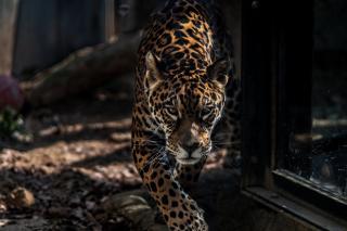 Thumbnail of ILCE-6300, 85mm, f/1.8, 1/800s, ISO100 | Photo by YAMAMOTO DAISUKE