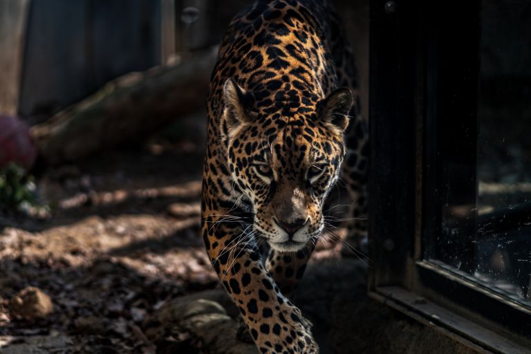 ILCE-6300, 85mm, f/1.8, 1/800s, ISO100 | Photo by YAMAMOTO DAISUKE