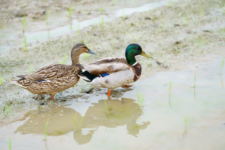 ILCE-6300, 85mm, f/2, 1/640s, ISO100 | Photo by YAMAMOTO DAISUKE