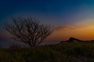 Thumbnail of ILCE-6300, 19mm, f/8, 1/250s, ISO100 | Photo by YAMAMOTO DAISUKE