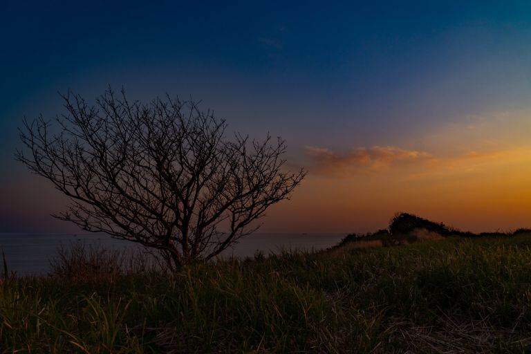 ILCE-6300, 19mm, f/8, 1/250s, ISO100 | Photo by YAMAMOTO DAISUKE