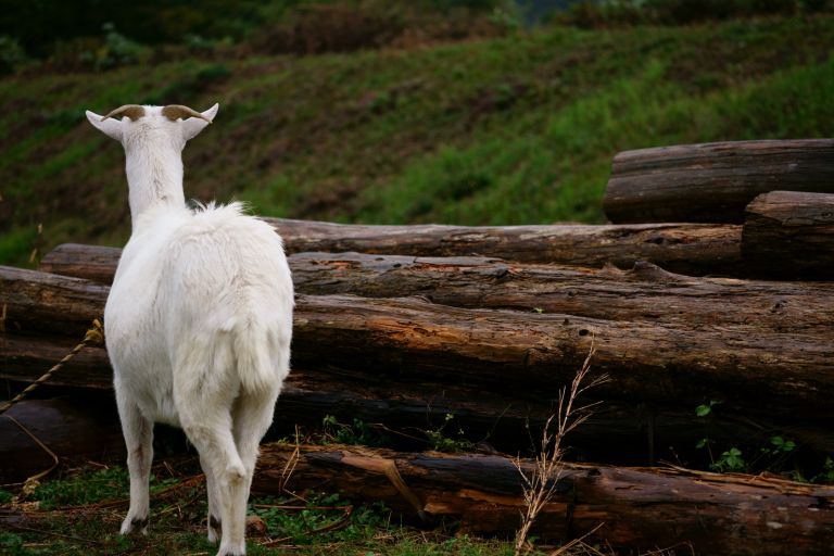 ILCE-6300, 60mm, f/2.8, 1/250s, ISO250 | Photo by YAMAMOTO DAISUKE