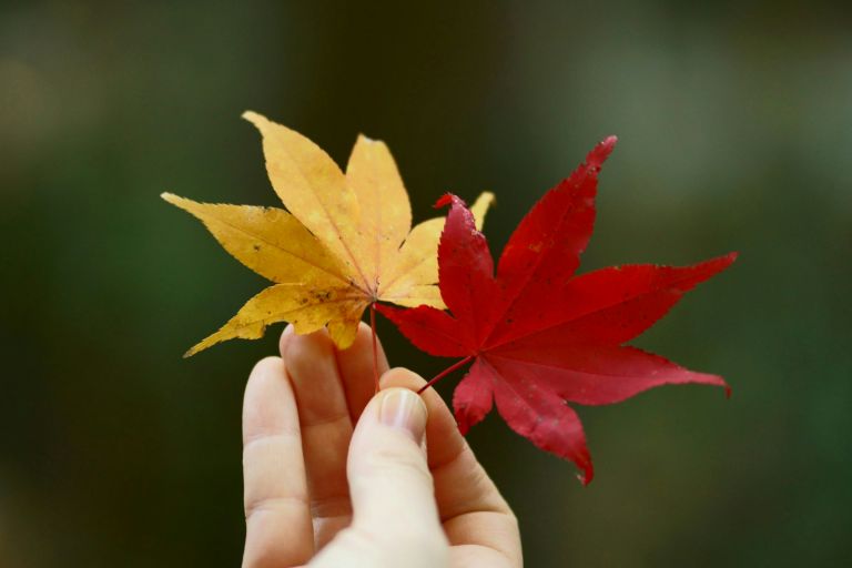 ILCE-6300, 85mm, f/1.8, 1/160s, ISO1000 | Photo by YAMAMOTO DAISUKE