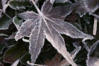 Thumbnail of ILCE-6300, 60mm, f/5.6, 1/200s, ISO320 | Photo by YAMAMOTO DAISUKE