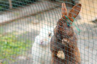 Thumbnail of ILCE-6300, 60mm, f/2.8, 1/640s, ISO100 | Photo by YAMAMOTO DAISUKE