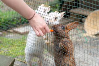 Thumbnail of ILCE-6300, 60mm, f/2.8, 1/640s, ISO100 | Photo by YAMAMOTO DAISUKE