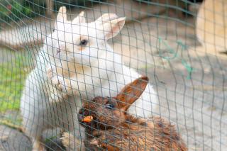 Thumbnail of ILCE-6300, 60mm, f/2.8, 1/640s, ISO100 | Photo by YAMAMOTO DAISUKE