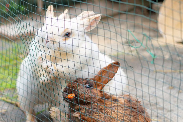 ILCE-6300, 60mm, f/2.8, 1/640s, ISO100 | Photo by YAMAMOTO DAISUKE