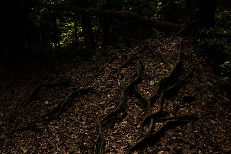 ILCE-6300, 30mm, f/4, 1/100s, ISO100 | Photo by YAMAMOTO DAISUKE