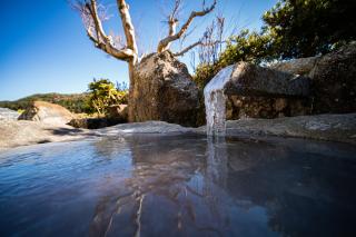 Thumbnail of ILCE-6300, f/2.8, 1/250sec, ISO100