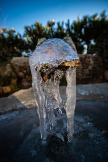 Thumbnail of ILCE-6300, f/2.8, 1/125sec, ISO100